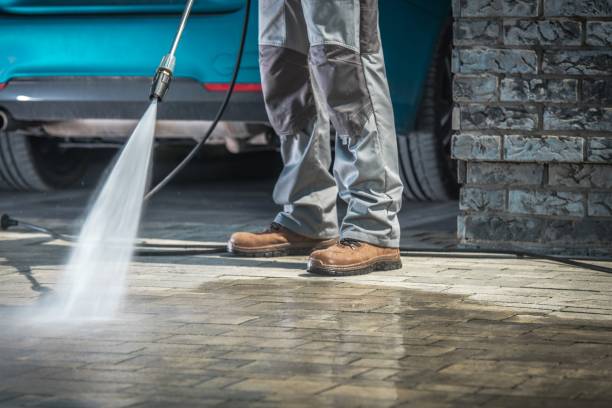 Best Roof Washing  in Jackson, AL