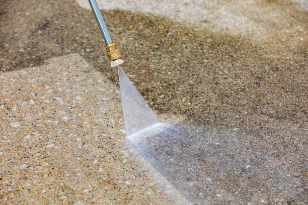 Best Sidewalk and Walkway Cleaning  in Jackson, AL
