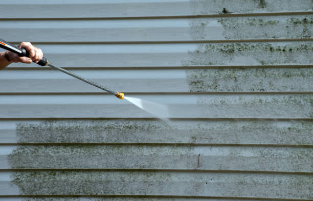 Professional Pressure Washing in Jackson, AL
